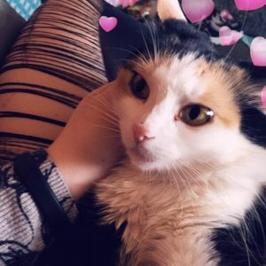 Meet your Posher, Jae